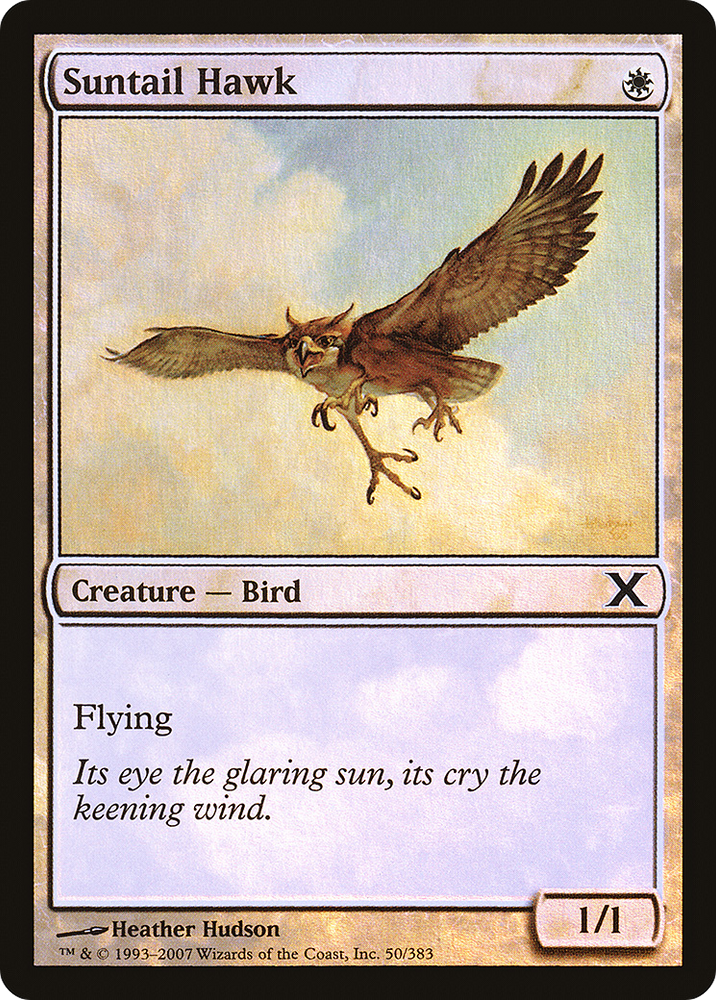 Suntail Hawk (10E-50★) [Tenth Edition] Foil