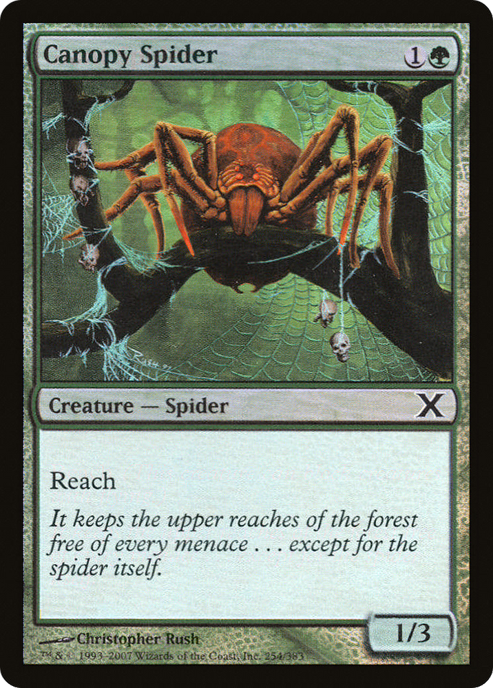 Canopy Spider (10E-254★) [Tenth Edition] Foil