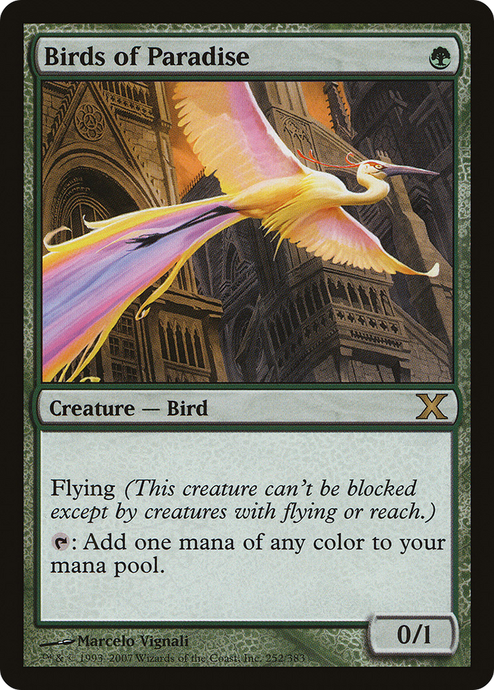 Birds of Paradise (10E-252) [Tenth Edition]