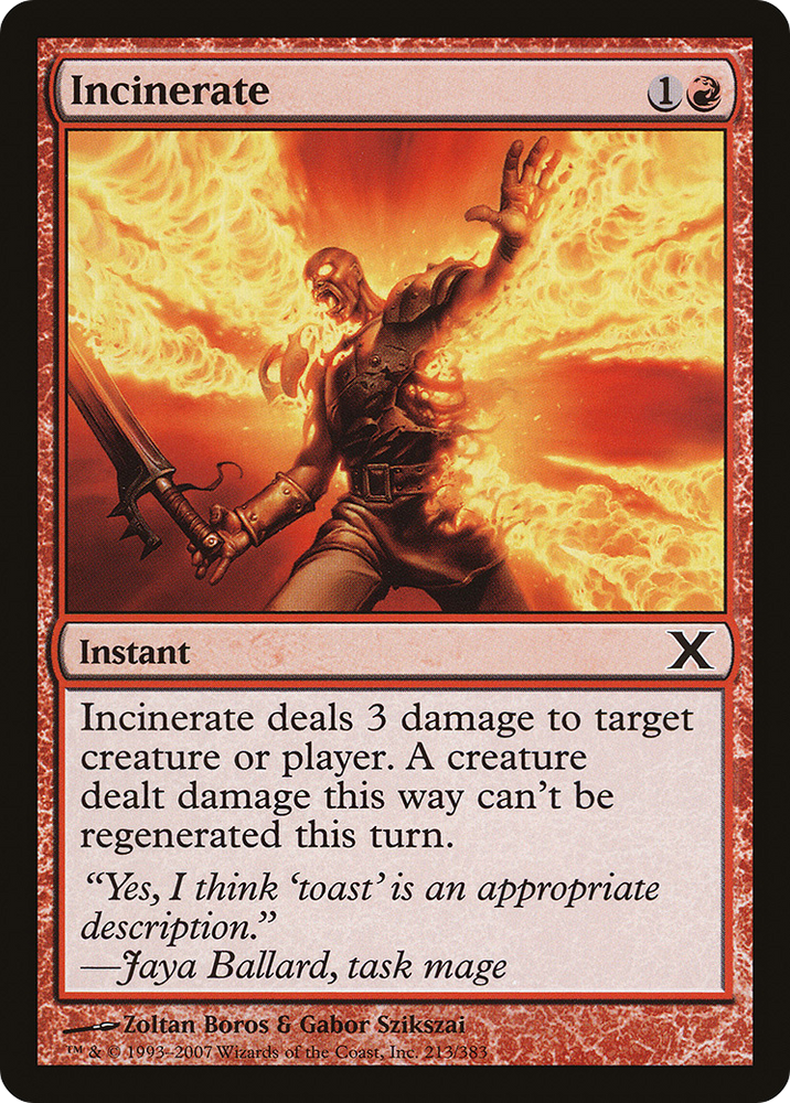 Incinerate (10E-213) [Tenth Edition]