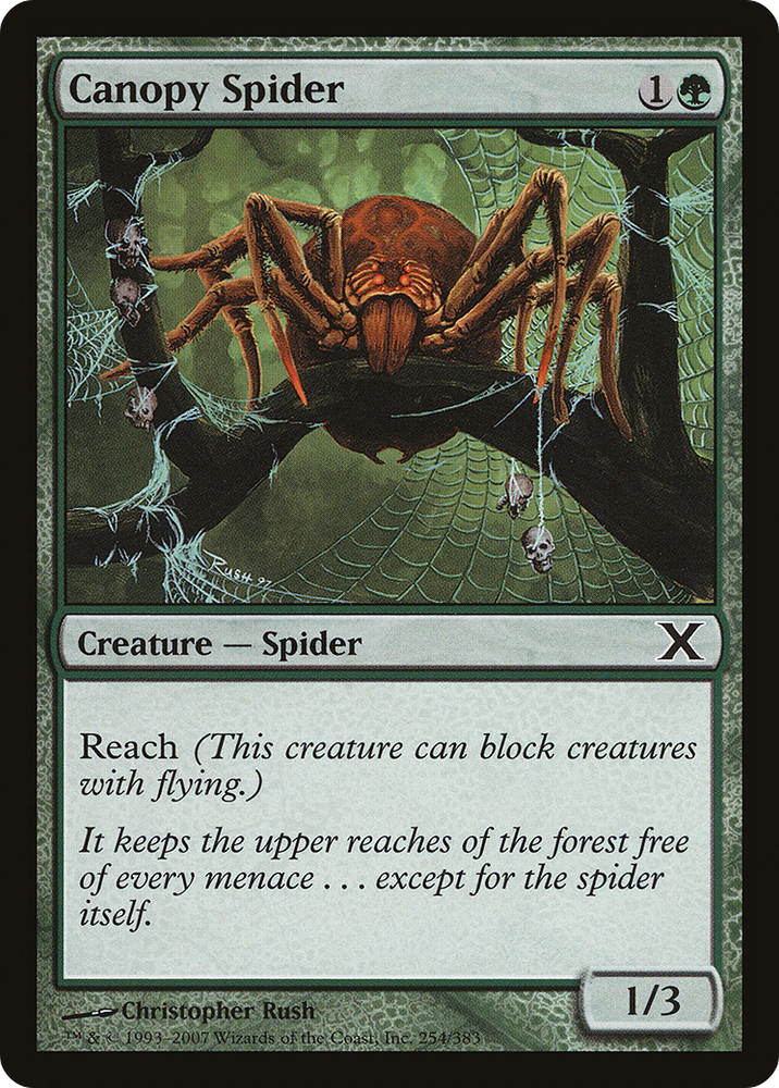 Canopy Spider (10E-254) [Tenth Edition]